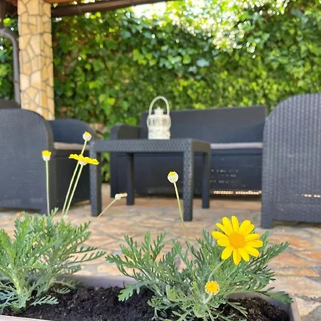 - Haustiere Wilkommen Apartment